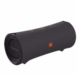 Haut Parleur Fitness speaker R